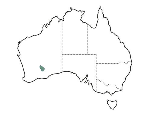 Eucayptus kruseana origin