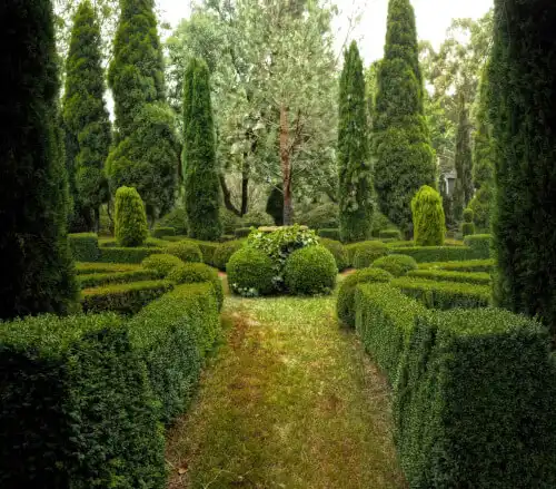 Symmetrical garden with well formed hedges