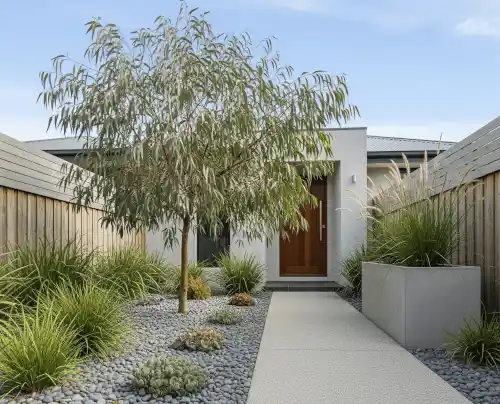 Contemporary front yard with minimal planting