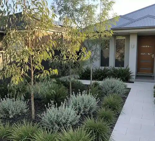 Small contemporary front yard