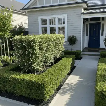 Small front yard with formal garden beds