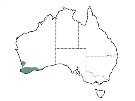 Eutaxia obovata main distribution